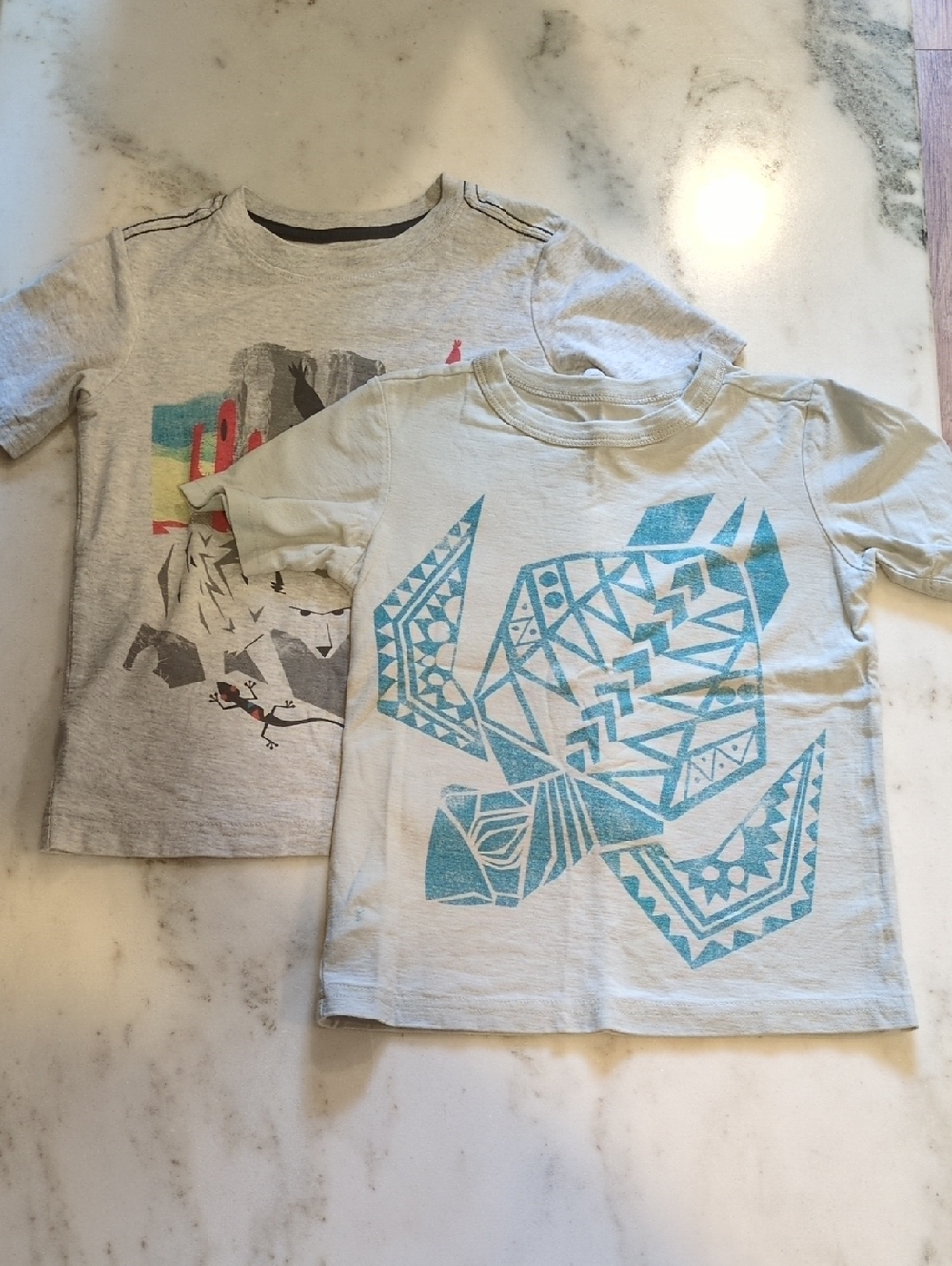 Tea Collection Boys Size 5 Graphic Tee Bundle 2 Gray Turtle Southwest EUC